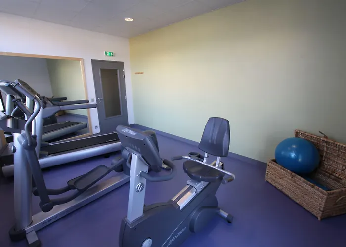 Hotel Mercure Marais Poitevin 4*